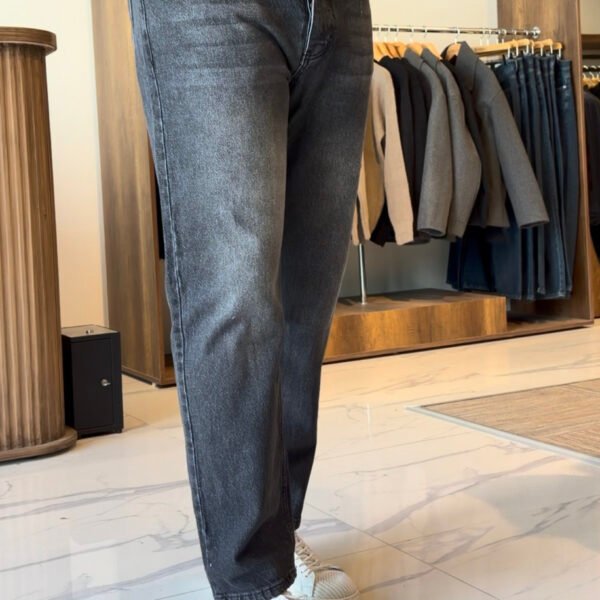 Regular Fit Jean Antrasit